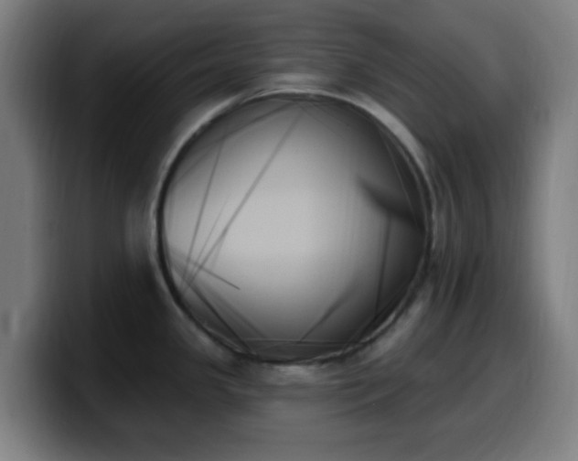 X0000099951341200805301229