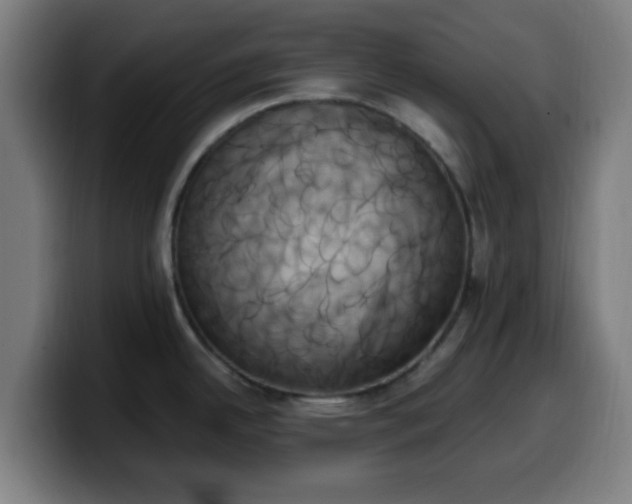 X0000099951342200805301229