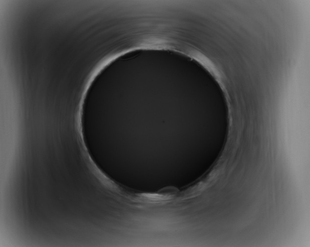 X0000099951344200805301229