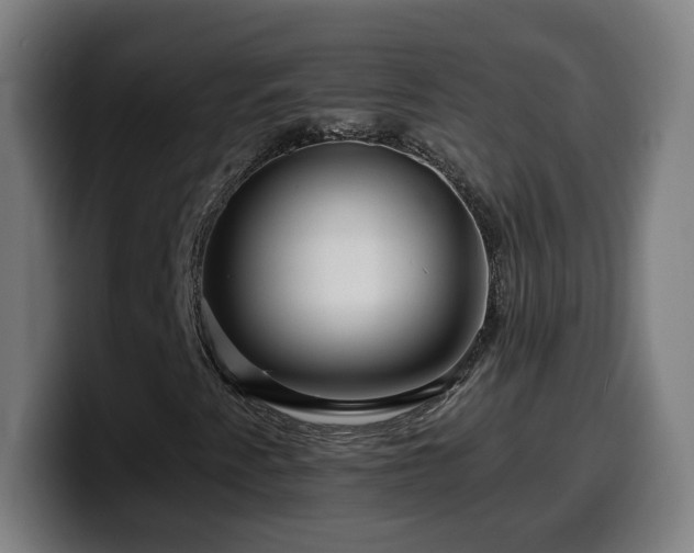 X0000099951345200805301228