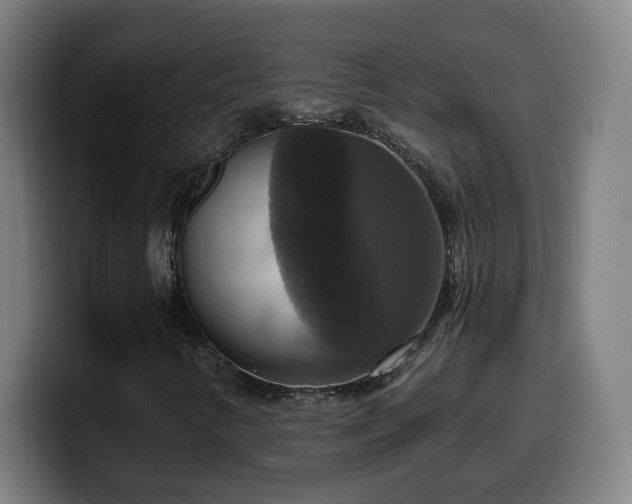 X0000099951346200805301228
