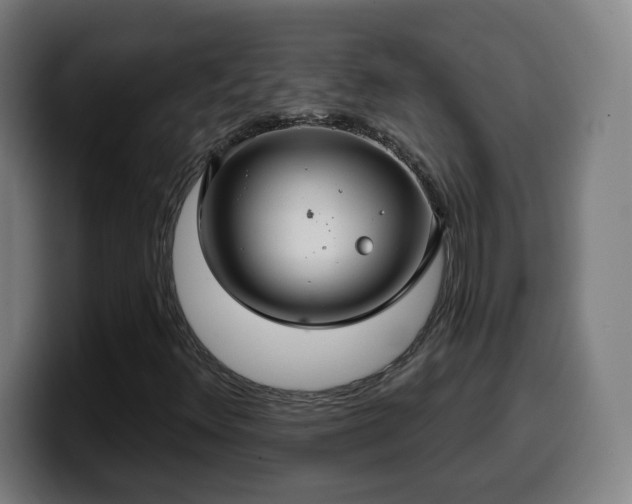 X0000099951348200805301228
