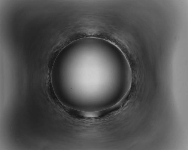 X0000099951349200805301228