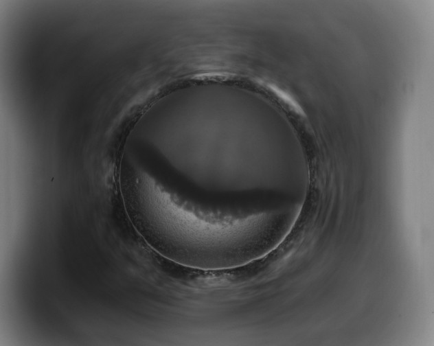 X0000099951351200805301228