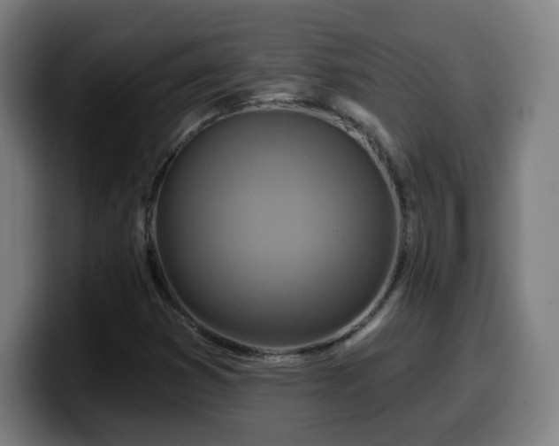 X0000099951353200805301228