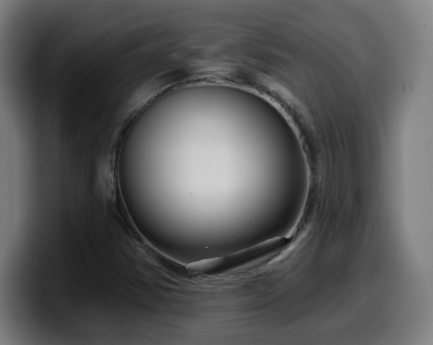 X0000099951354200805301228
