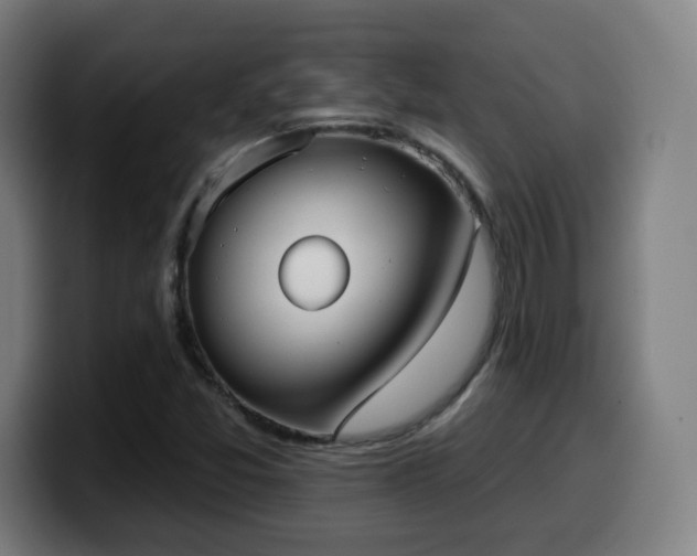 X0000099951357200805301228