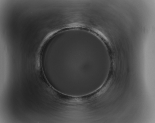 X0000099951358200805301228