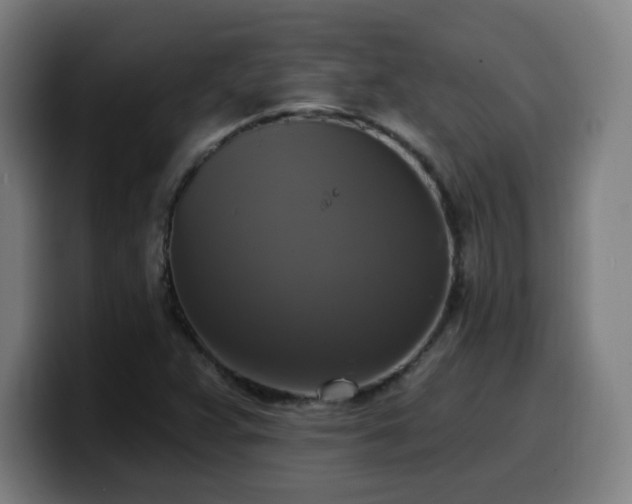 X0000099951359200805301228
