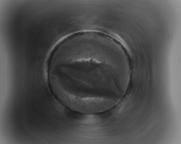 X0000099951360200805301228