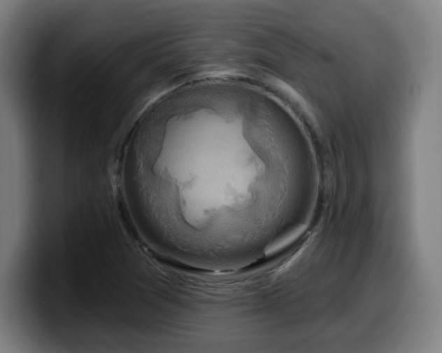 X0000099951361200805301228