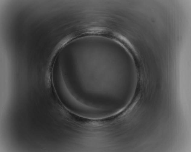 X0000099951362200805301228