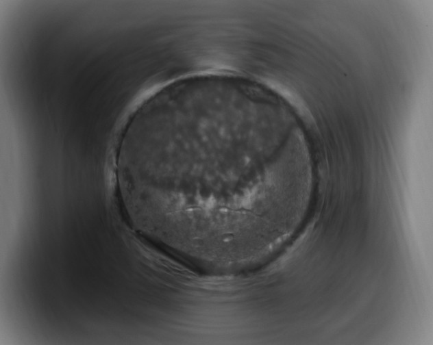 X0000099951363200805301228