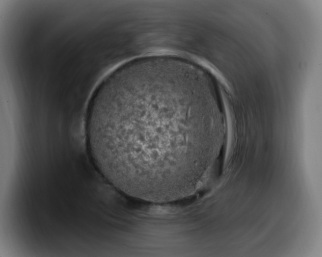 X0000099951364200805301228