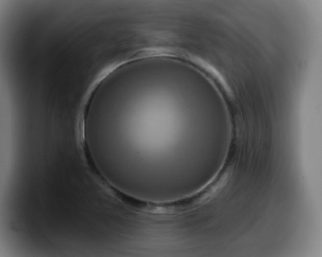 X0000099951365200805301228