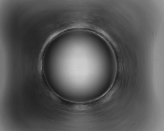 X0000099951366200805301228