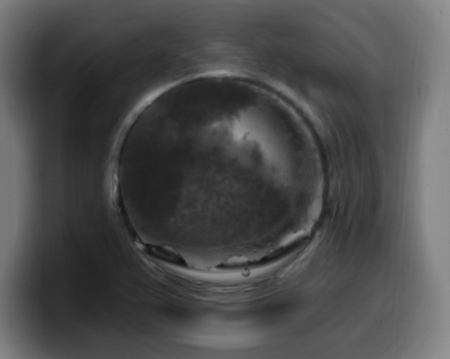 X0000099951367200805301228