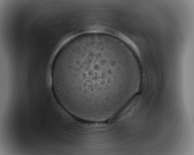 X0000099951368200805301228
