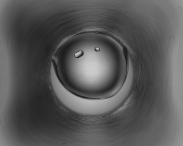 X0000099951369200805301228