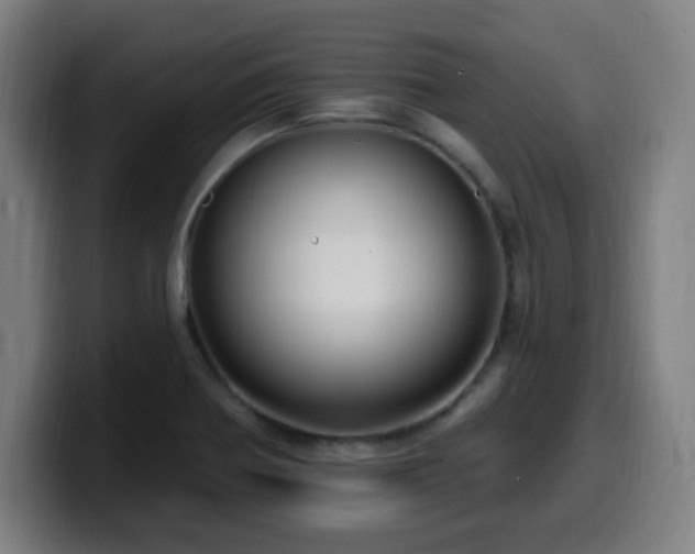 X0000099951370200805301228