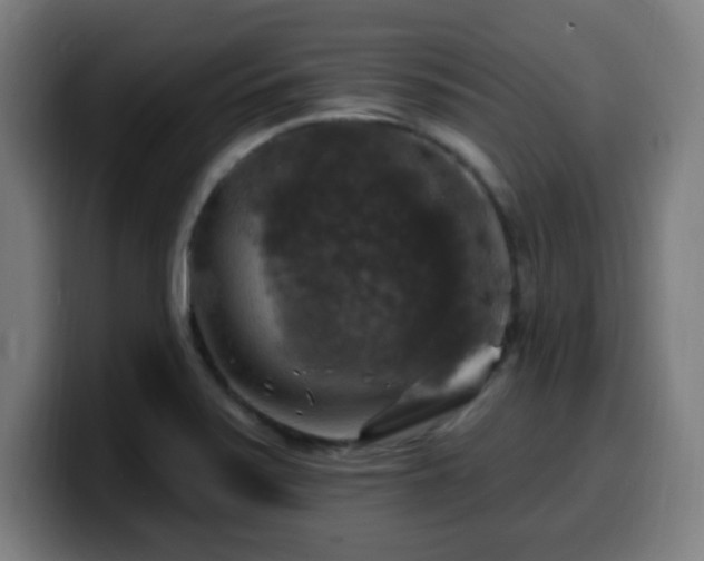 X0000099951371200805301228