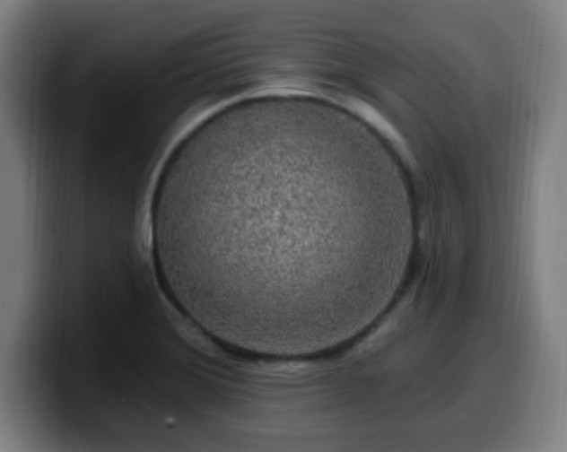 X0000099951372200805301228