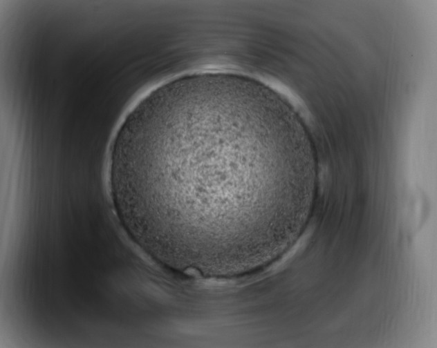 X0000099951374200805301228
