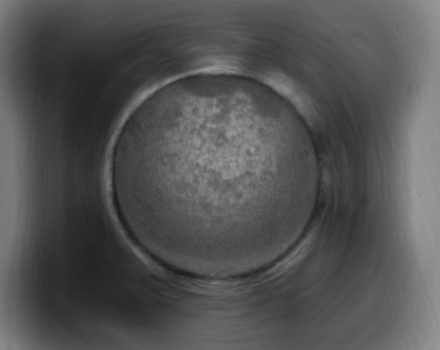 X0000099951375200805301228