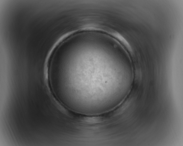 X0000099951376200805301228
