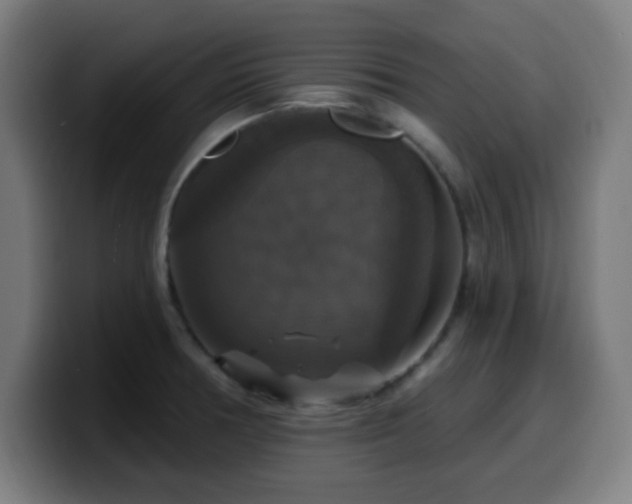 X0000099951378200805301228