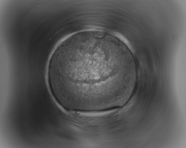 X0000099951379200805301228