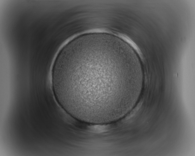 X0000099951380200805301228