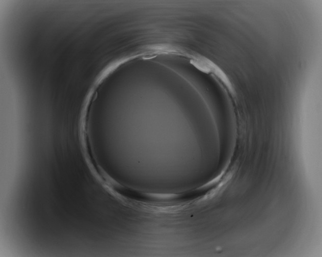 X0000099951381200805301228