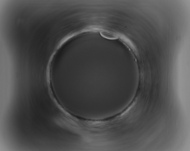 X0000099951382200805301228