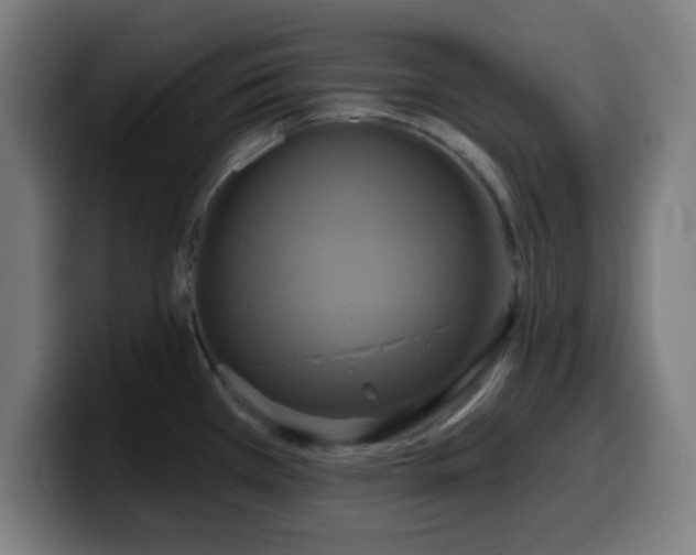 X0000099951385200805301228