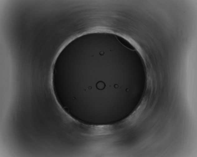 X0000099951390200805301228