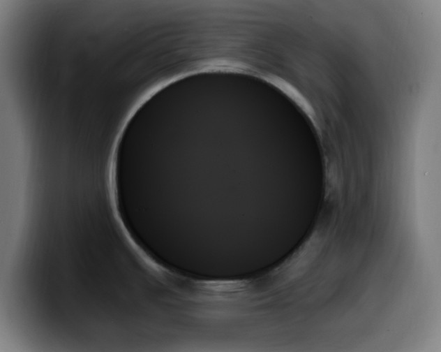 X0000099951391200805301228