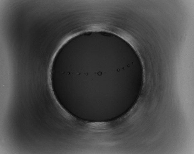 X0000099951392200805301228