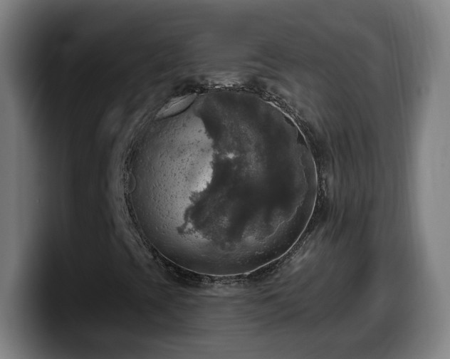 X0000099951393200805301227