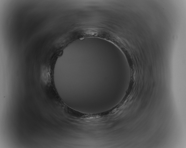 X0000099951394200805301227