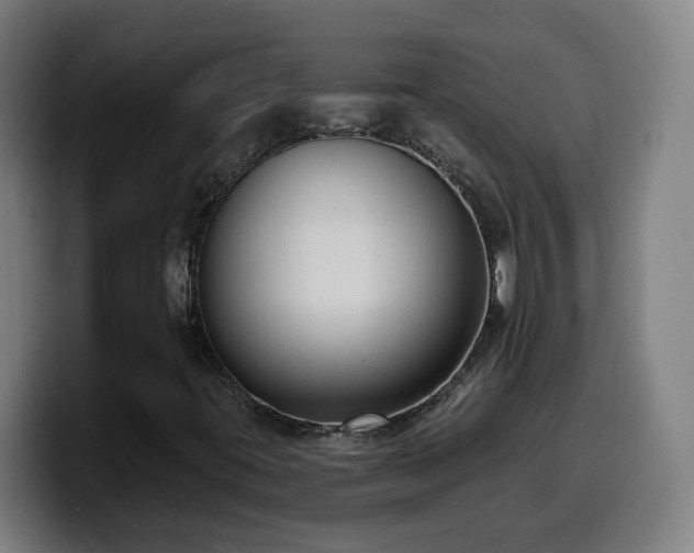 X0000099951395200805301227