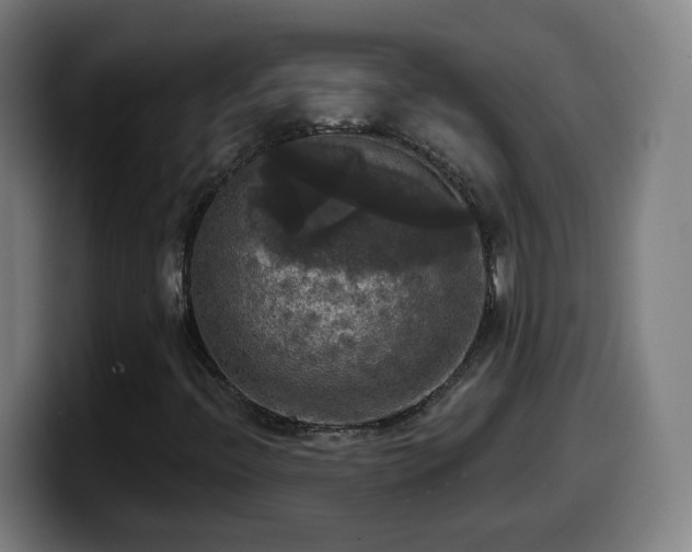 X0000099951396200805301227