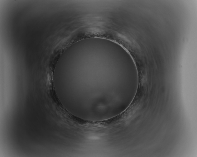 X0000099951397200805301227