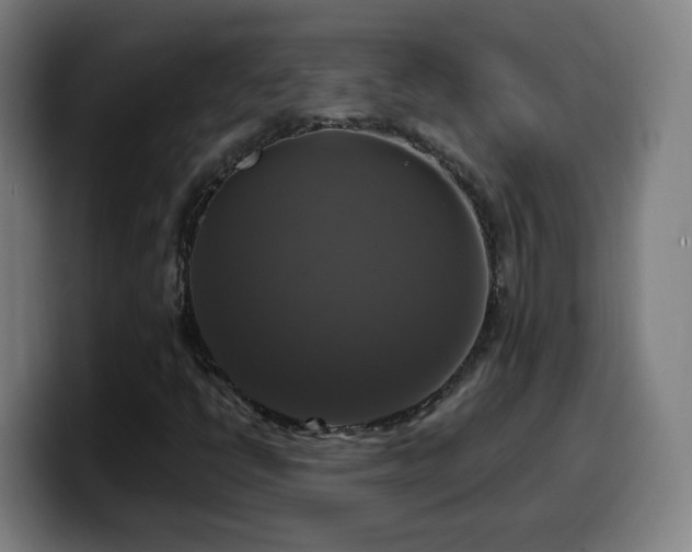 X0000099951398200805301227