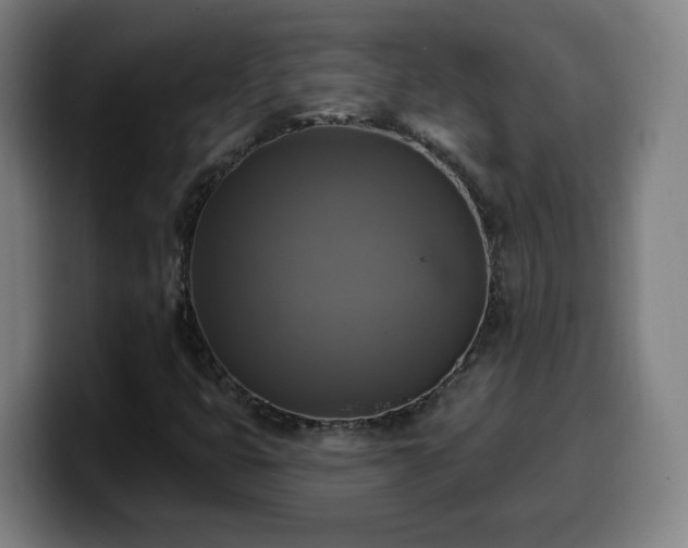 X0000099951399200805301227