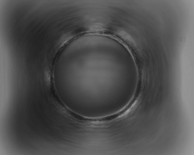 X0000099951401200805301227
