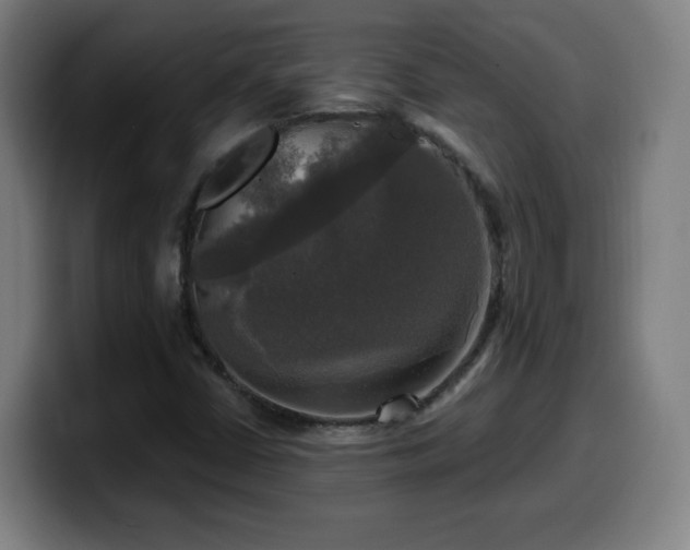X0000099951402200805301227