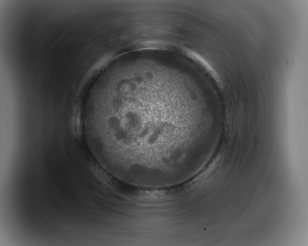 X0000099951403200805301227