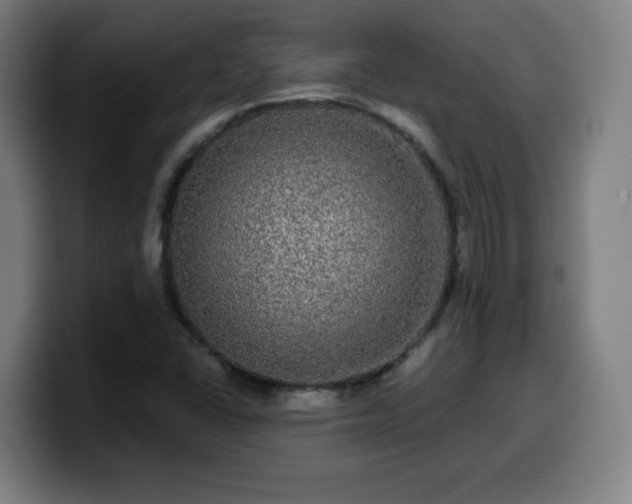 X0000099951406200805301227