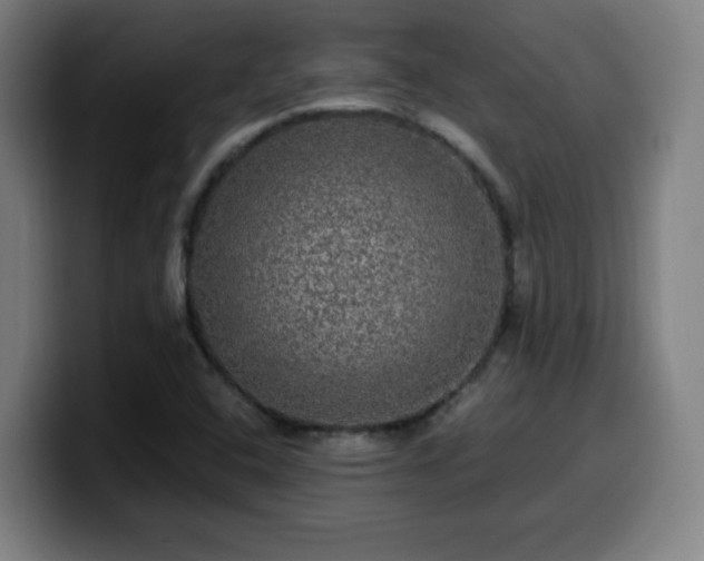 X0000099951408200805301227